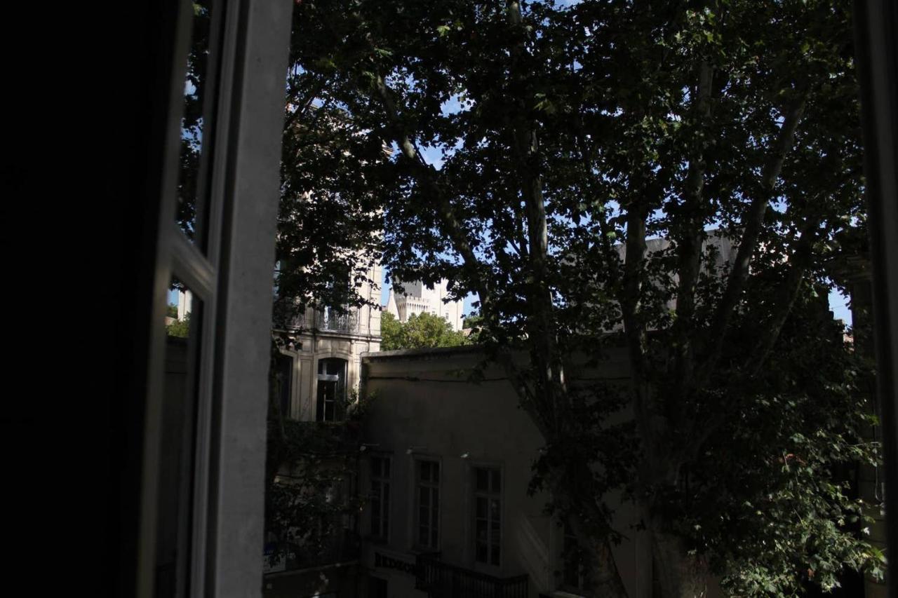 Appartement Rue Carnot 亞維農 外观 照片